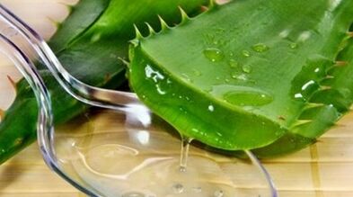 aloe for at øge menneskets styrke