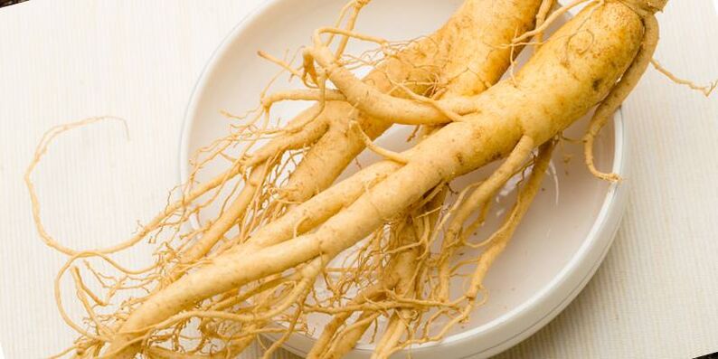 ginseng for at øge styrken