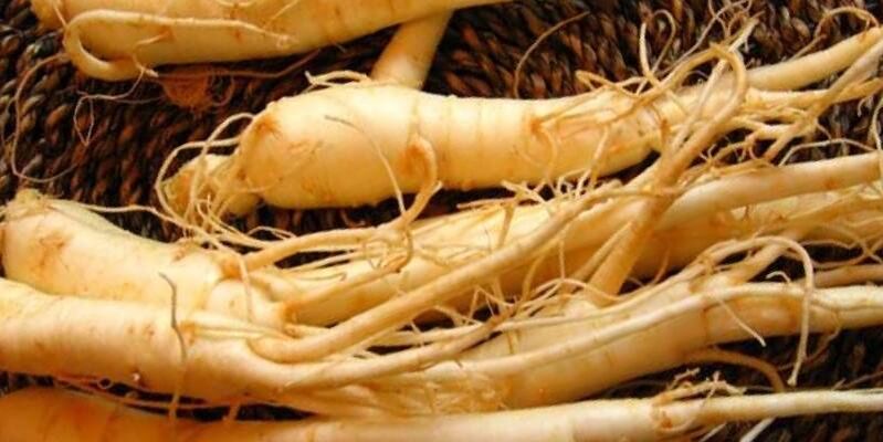 ginseng rod for at øge styrken